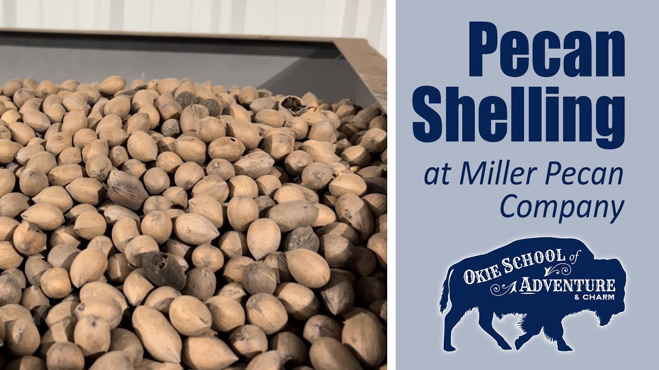 Pecan Shelling Plant Tour At Miller Pecan Company