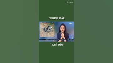 KÊNH HAY Official//cười Thả Ga cùng Khỉ Đột