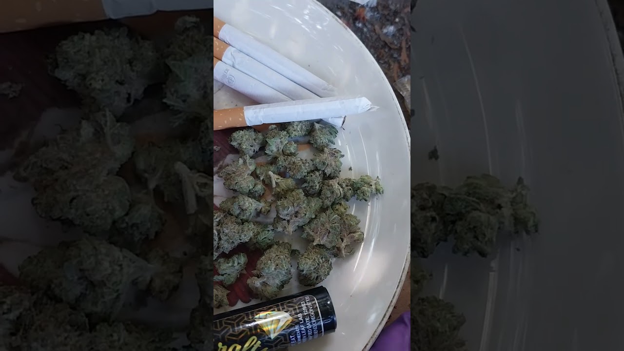 Review: Super Runtz Diamond infused 1G joint by Calyx Crafts + " Double OG Chem Strain review