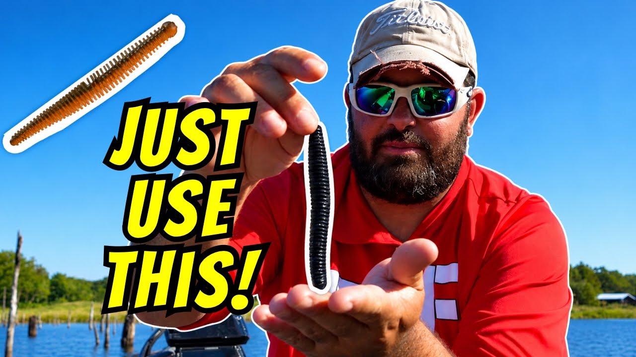 Secrets to Fish Plastic Worms Like a PRO! (Lake Fork Bass Fishing Tips for Summer/Fall Transition)