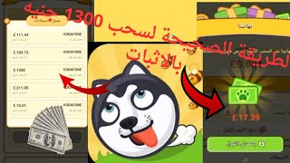 سحب 1300 جنيه كريزي دوج Crazy Dog  الطريقة الصحيحة بالاثبات الربح من الانترنت 2024???