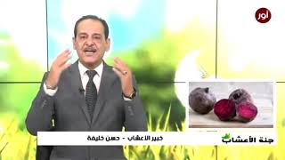 تساقط الشعر - التعب - الارهاق - وصفات و نصائح مـع خبير الاعـشاب حـسن خــليفه