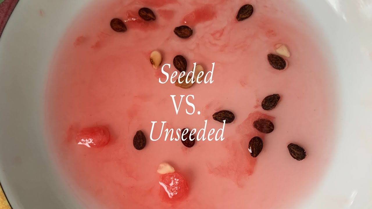How Do You Grow Seedless Watermelon? YouTube
