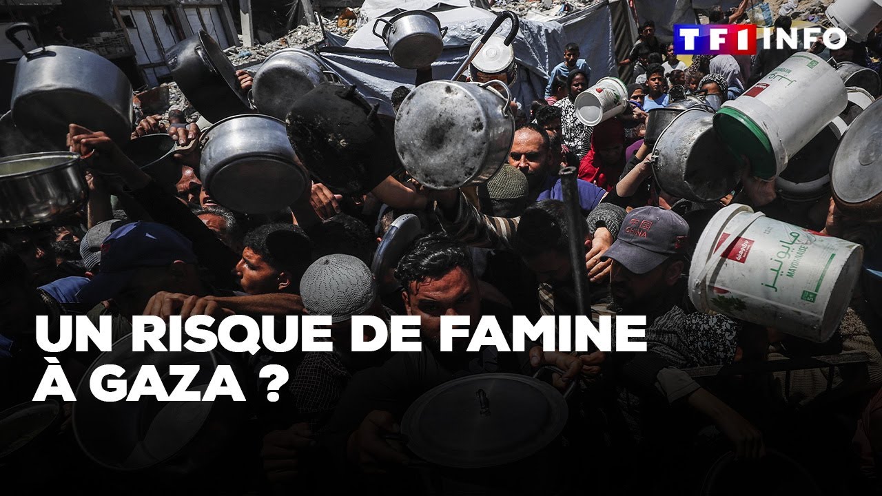 Un risque de famine à Gaza ?｜TF1 INFO