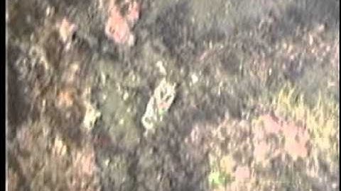 C0212SC_Tape37o.noaudio.mpg