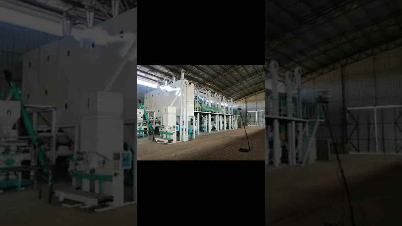 50tpd maize grits production line finish installed