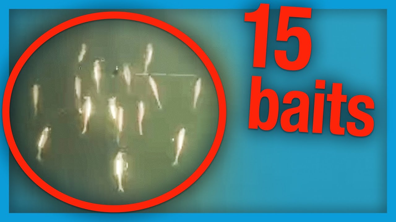 The Japanese 15-Bait Alabama Rig Looks Insane - YouTube