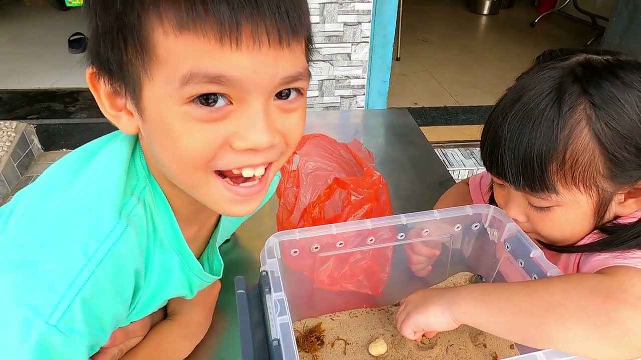 Tin Mua Ốc Mượn Hồn – Trải Nghiệm Thú Cưng Độc Đáo!