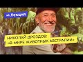 Николай Дроздов: «В мире животных Австралии»