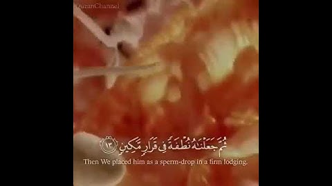 القارئ ياسر الدوسري...مراحل الإنسان