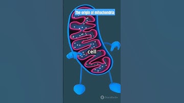 How Mitochondria and Chloroplasts Revolutionized Life: The Endosymbiotic Theory Explained! #shorts