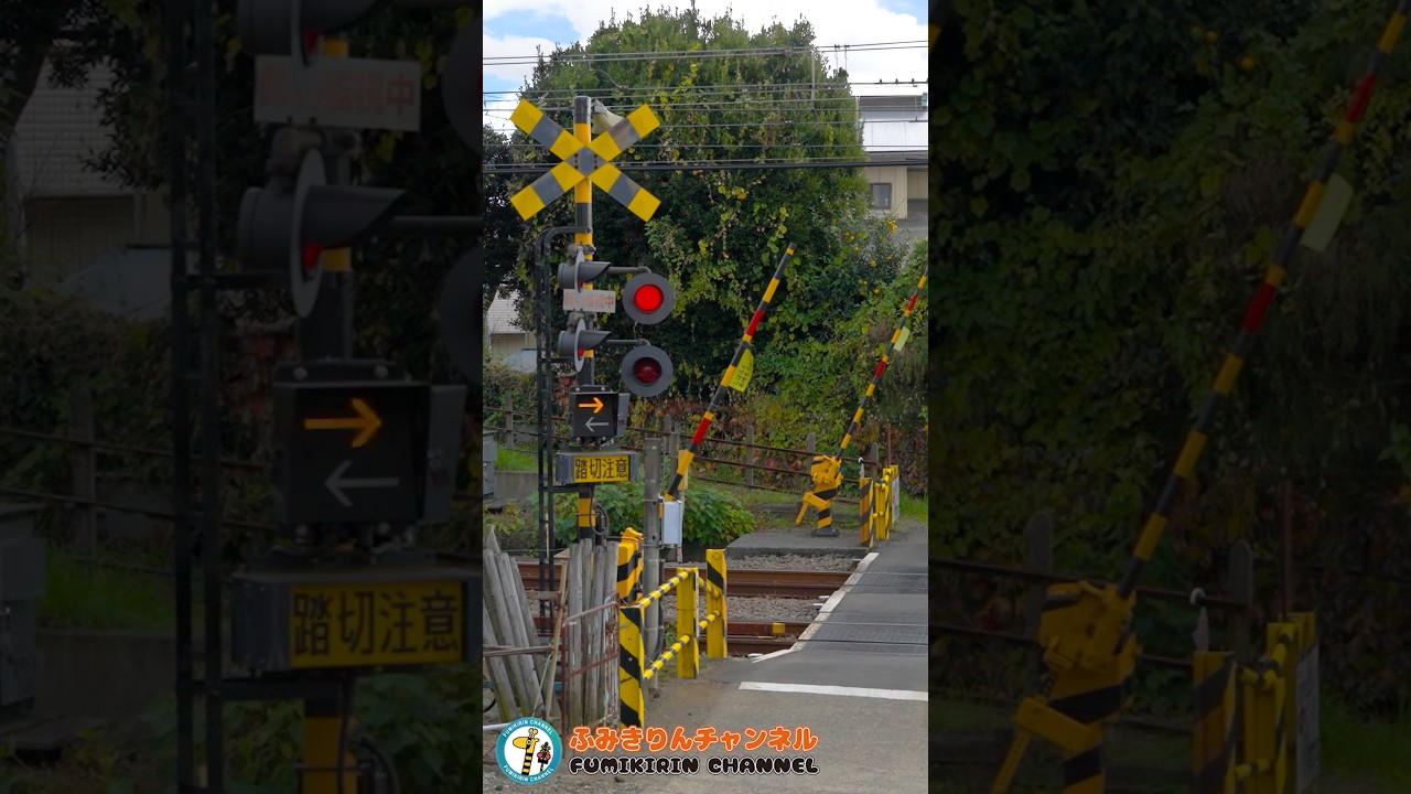 Railroad Crossing Train] What Will Pass By Next?［Railroad