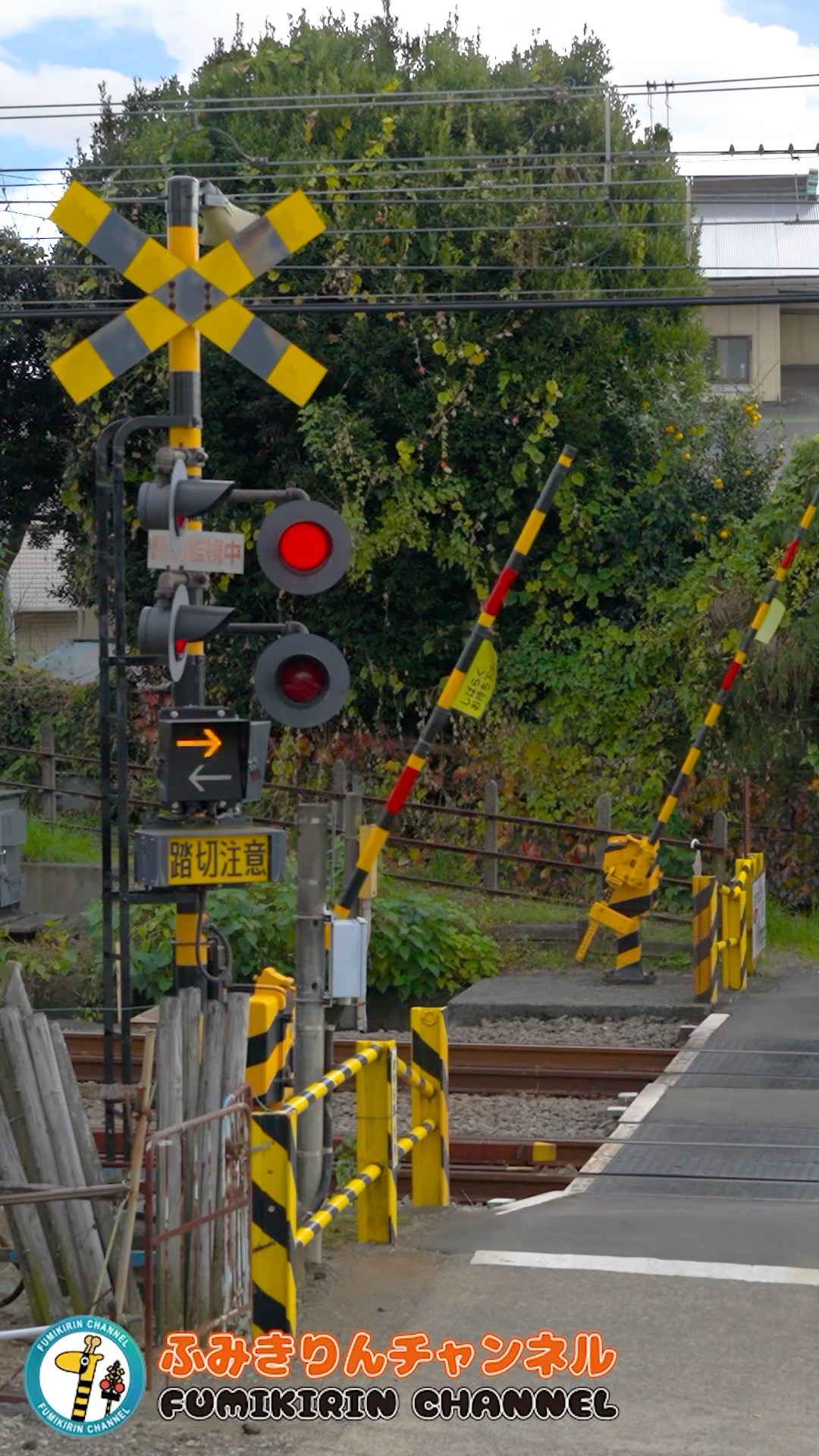 Railroad Crossing Train] What Will Pass By Next?［Railroad