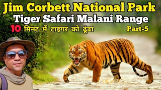 Tiger Safari Malani Range | 10 मिनट में टाइगर को ढूंढा | Jim Corbett National Park | Bijrani Zone