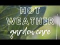 How to Care for Your Garden in Hot Weather | how to look after your garden