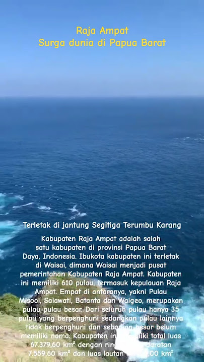 Save Raja Ampat | biarkan keindahannya abadi #indonesia #rajaampat #beautifulindonesia #shorts