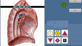 8D NLS health analyzer Vector software Instructions