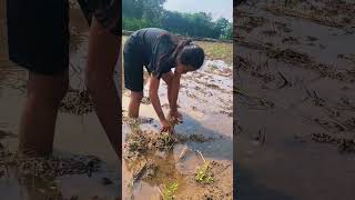 Bumi Mungkin Lebih Besar Dari Pada Manusia storyharian quotes motivasihidup