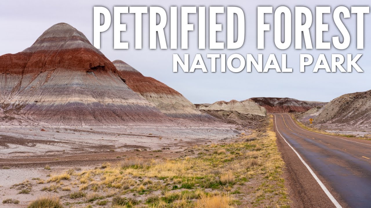 Petrified Forest National Park In Arizona A One Day Travel Guide Youtube