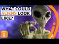 What would alien life actually look like? | BBC Ideas