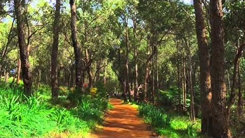 القارئ سعيد باعامر فجرية ٣ جمادي الأول ١٤٣٧هـ