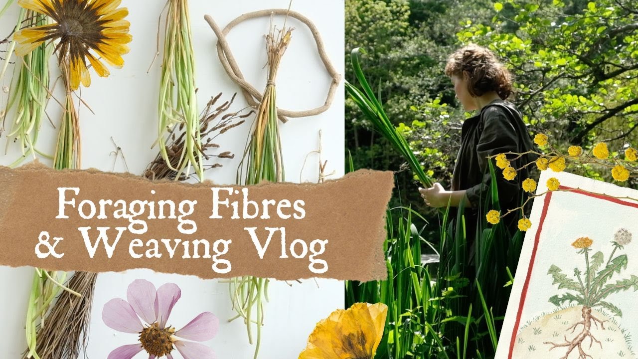 Сбор урожая для плетения корзин ❊ Часть I