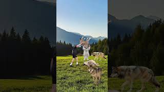 Wolf survival Wealth