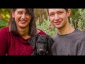 Archer the Curly Coated Retriever Puppy | Ragamuffin Pet Photography の動画、YouTube動画。