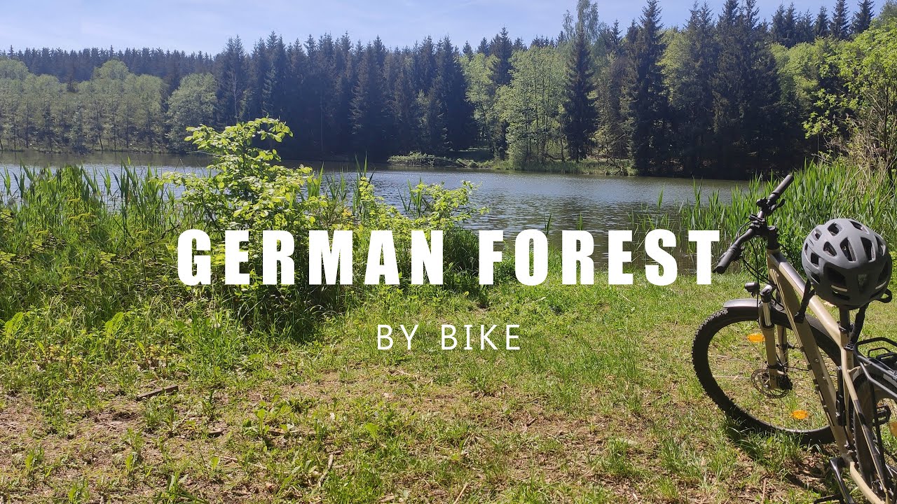 Виртуальная велопрогулка по Немецкому лесу | Неотредактированный