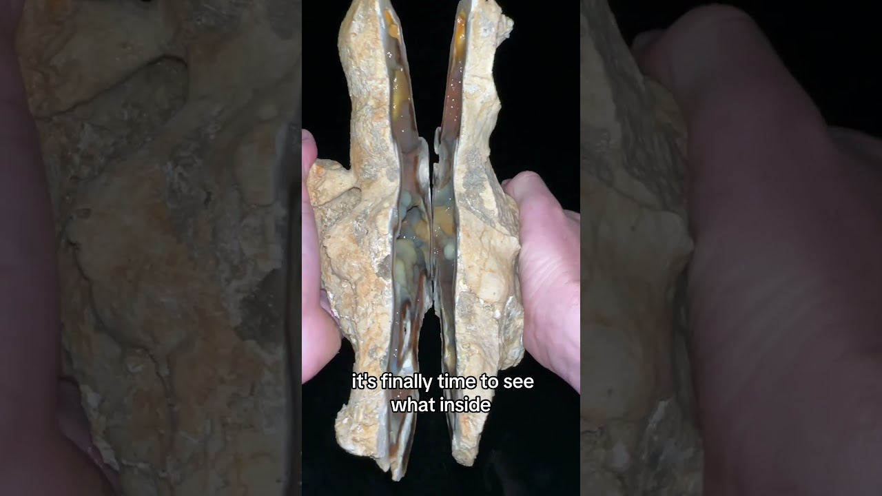 Самая длинная коралловая жеода, которую я вырезал… Что внутри? 