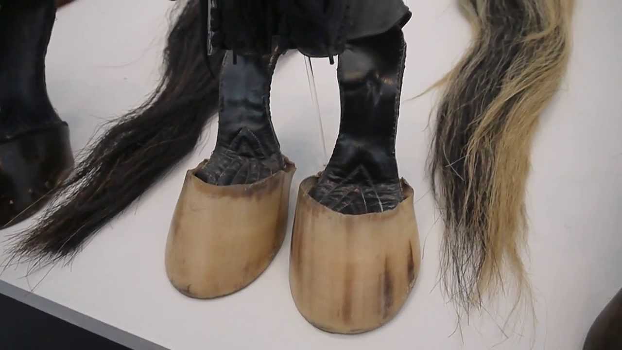 equestrian footwear YouTube