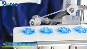 POLYVA DS-160 Small laundry pod packaging machine