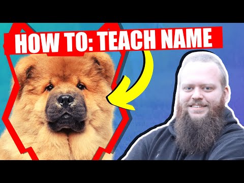 How To Teach Your CHOW CHOW PUPPY Their Name