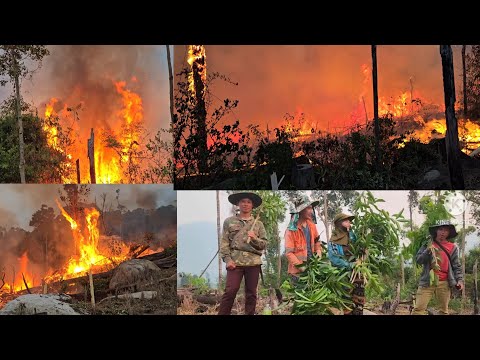 Hlaev teb kub loj txau ntshai tiag tiag 5 เมษายน ค.ศ. 2026