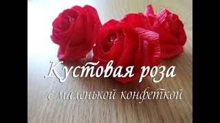 КУСТОВАЯ РОЗА С МАЛЕНЬКОЙ КОНФЕТКОЙ