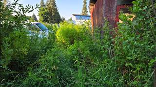 I Helped This Mechanic Clean Up His Lot… Then He Surprised Me