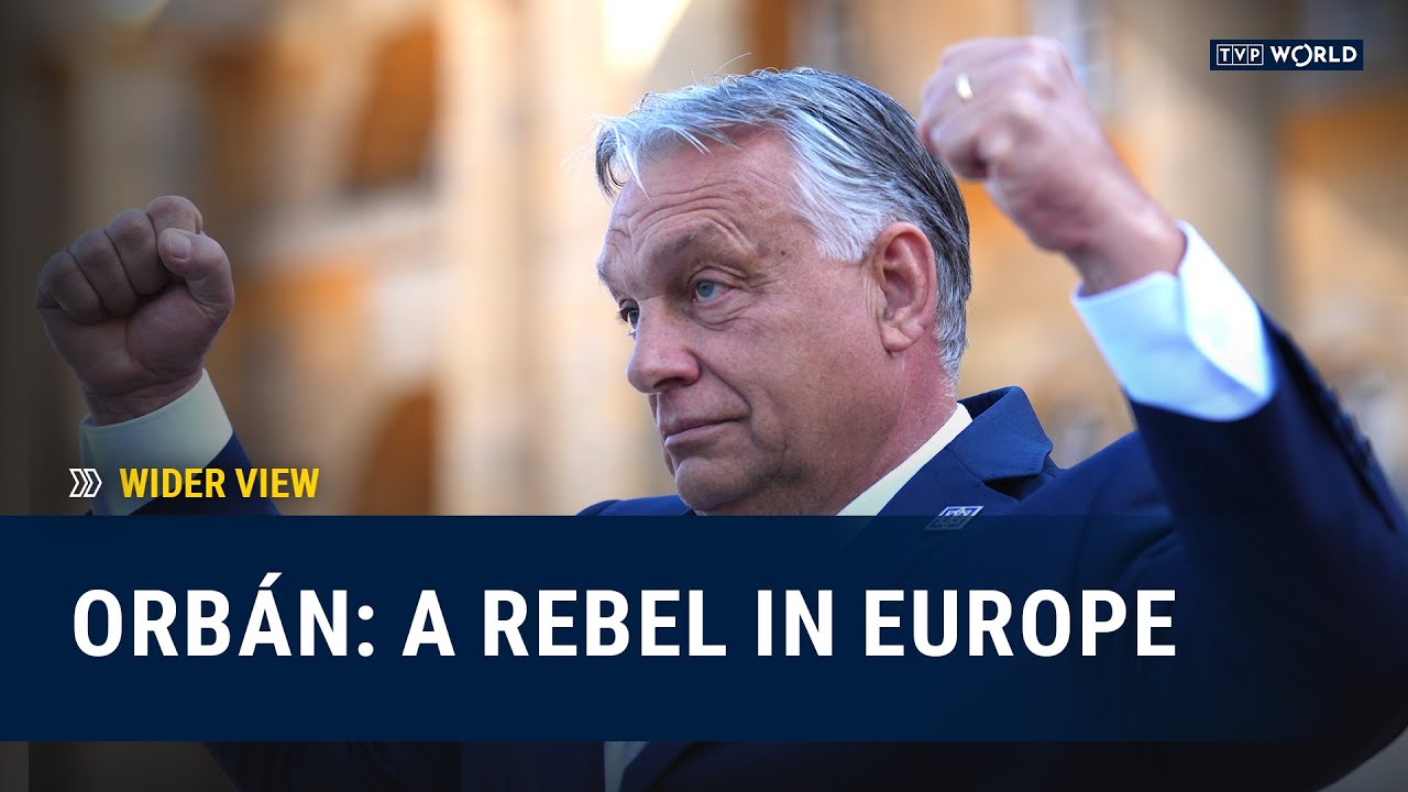 The socio-economic base of Orban's international politics
