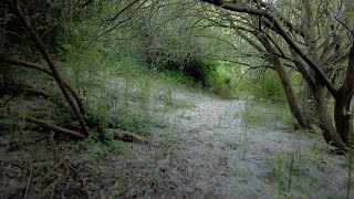 Exploring Next To a Train Track In Kent