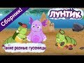 Лунтик 🌼 Такие разные гусеницы🌼 Сборник мультфильмов 2017