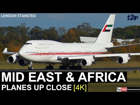 VIP JUMBO JET & RARE LIVERY! Up Close UAE Dubai Air Wing 747 + Qatar Cargo!