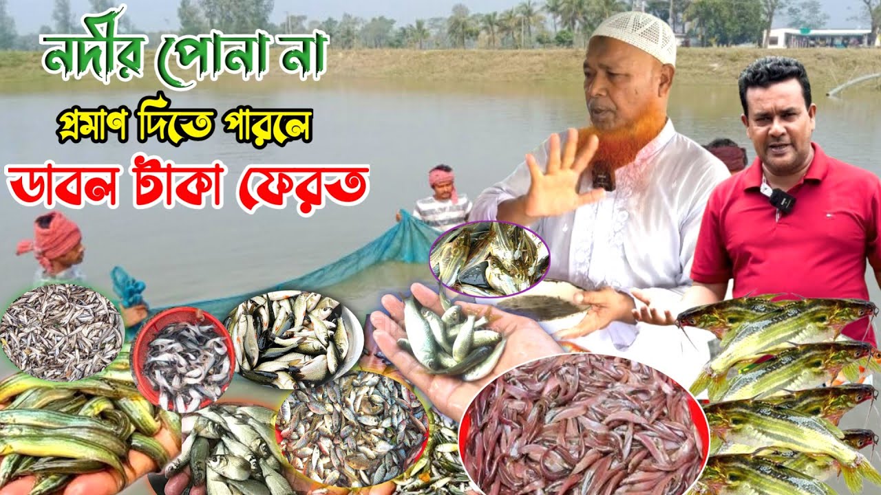 1 лакх мальков за 6 тысяч така. «Если не речная рыба, вернем двойную сумму». Джессор! Рыбная ферм...