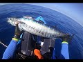 Wahoo on the kayak