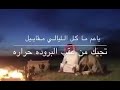 ناصر سلامة ياعم مأكل الليالي 