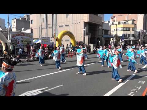 よさこい鳴子連 今日一屋（よさこい東海道2011上本通り）