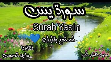 سورة يس@تلاوة خاشعة هادئه مريحه للنفس والاعصاب نافعة بإذن الله 💔💔