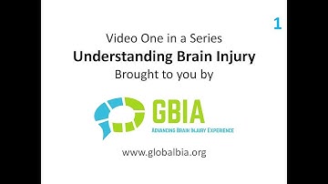 Video 1 in a Series   Understanding Brain Injury