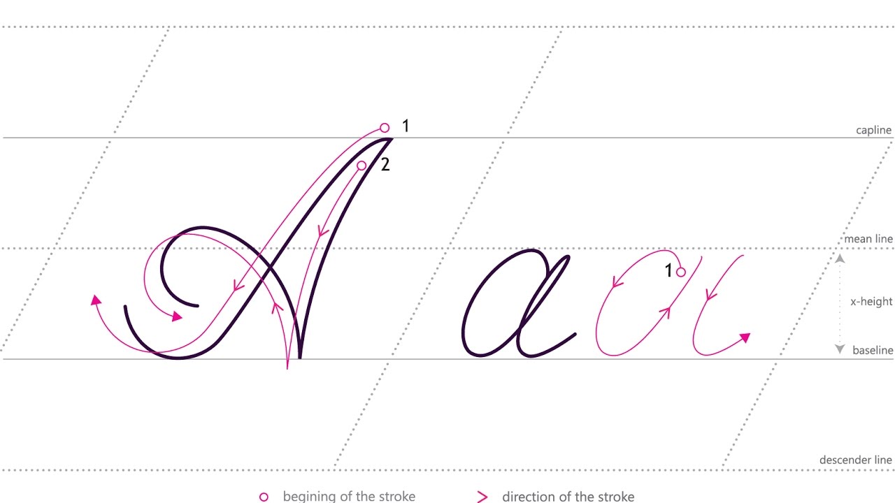 Here is the cursive alphabet (with helpful little pointers to you write a q...