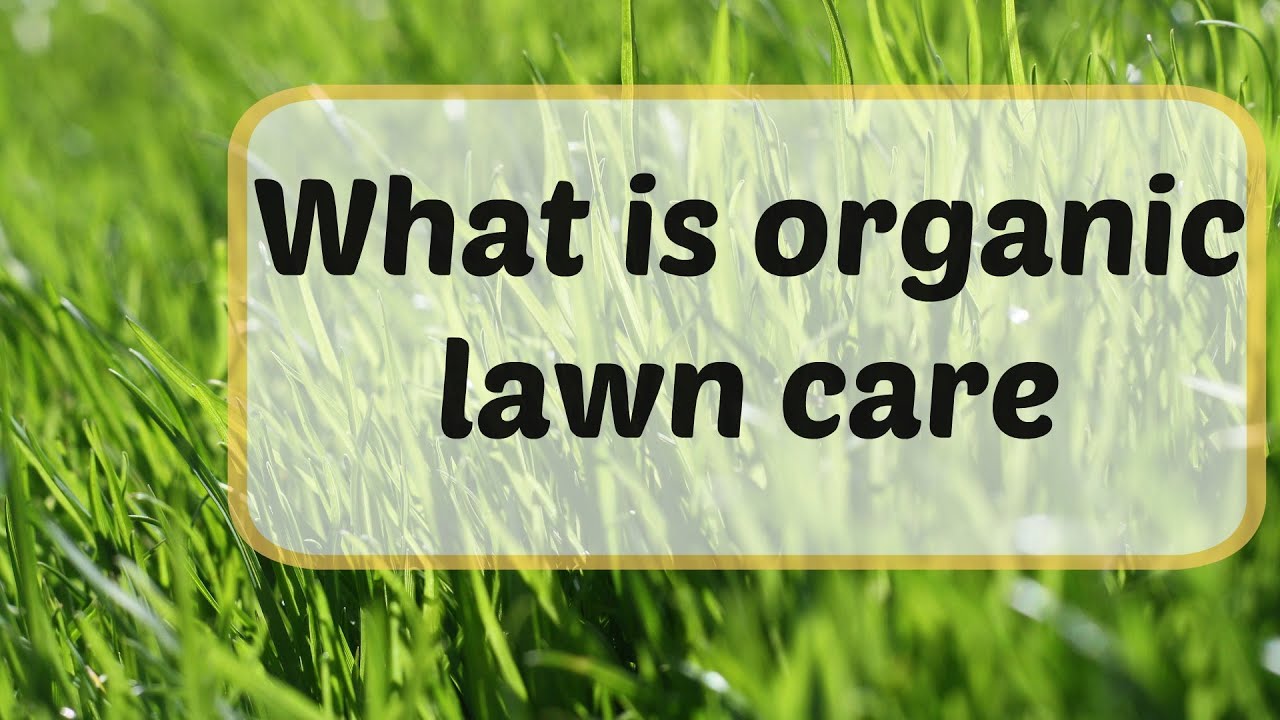 What is organic lawn care YouTube