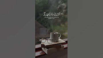 (" إذ يغشيكم النعاس أمنة منه ") || سورة الأنفال | الشيخ ناصر القطامي