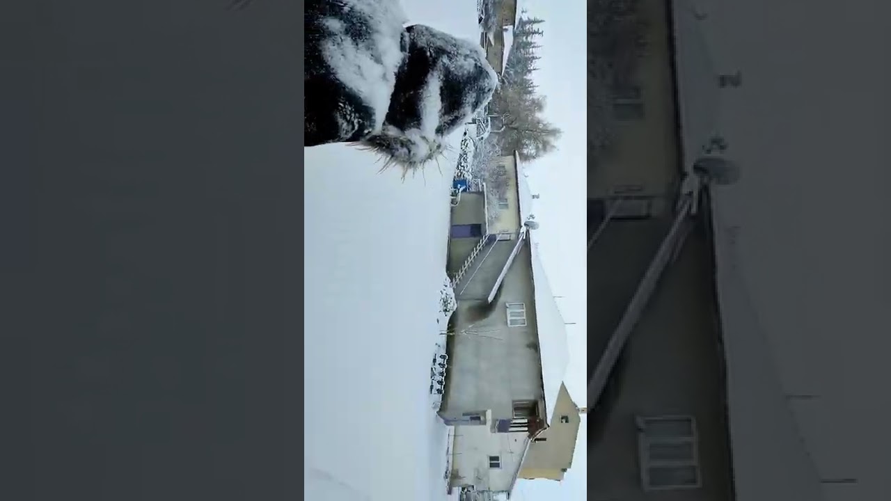 Afyonkarahisar Sandıklı Ballık Kasabası bizim memleket